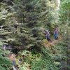 09 b Schluchensteig Etappe 4 - 6